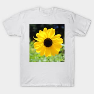 Carolina Sunflower T-Shirt